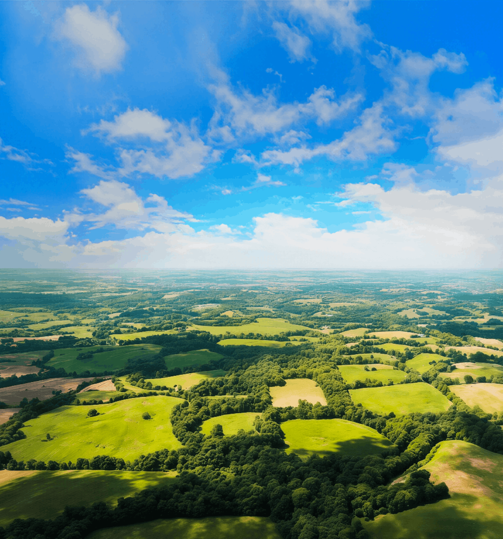 Landscape Background Image